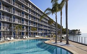 Bay Harbor Hotel Tampa